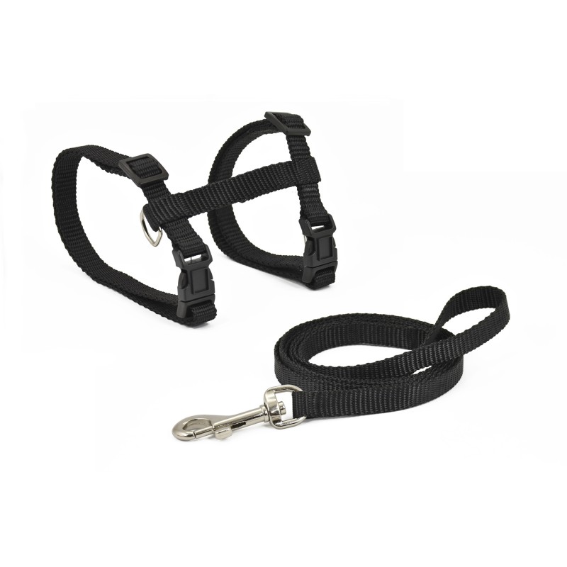 Collares Gatos ARNES Y CORREA GATO